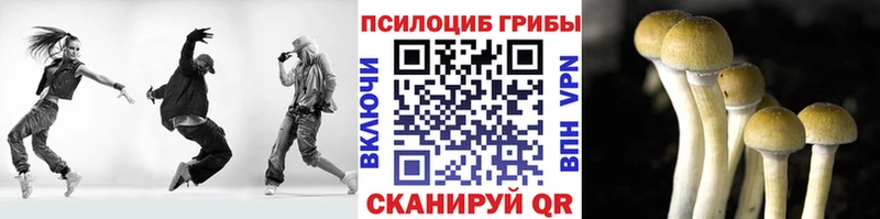 магазин продажи   Оха  Псилоцибиновые грибы прущие грибы 